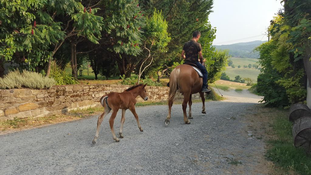 Agriturismo Corte Del Gallo Ривергаро Екстер'єр фото
